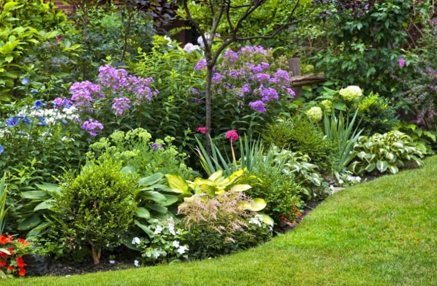 Die 10 pflegeleichtesten Pflanzen für den Garten